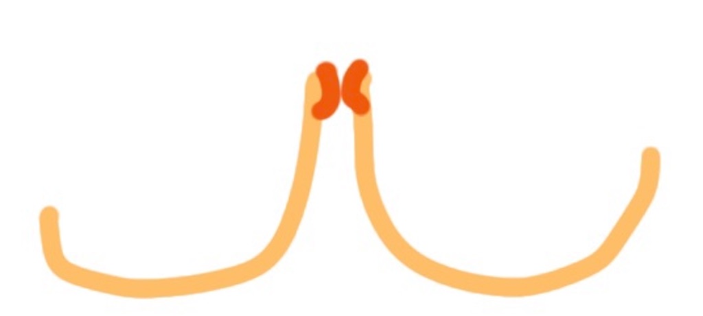 f:id:aoma23:20191207124848j:image